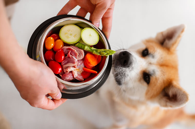 Ernährung & Verhalten