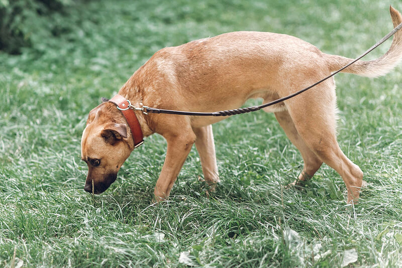 Calm, Connect & Balance