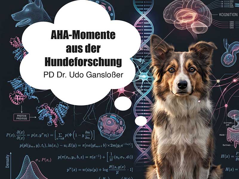 hundetrainer