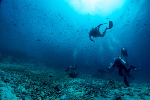 Diving in Barbuda
