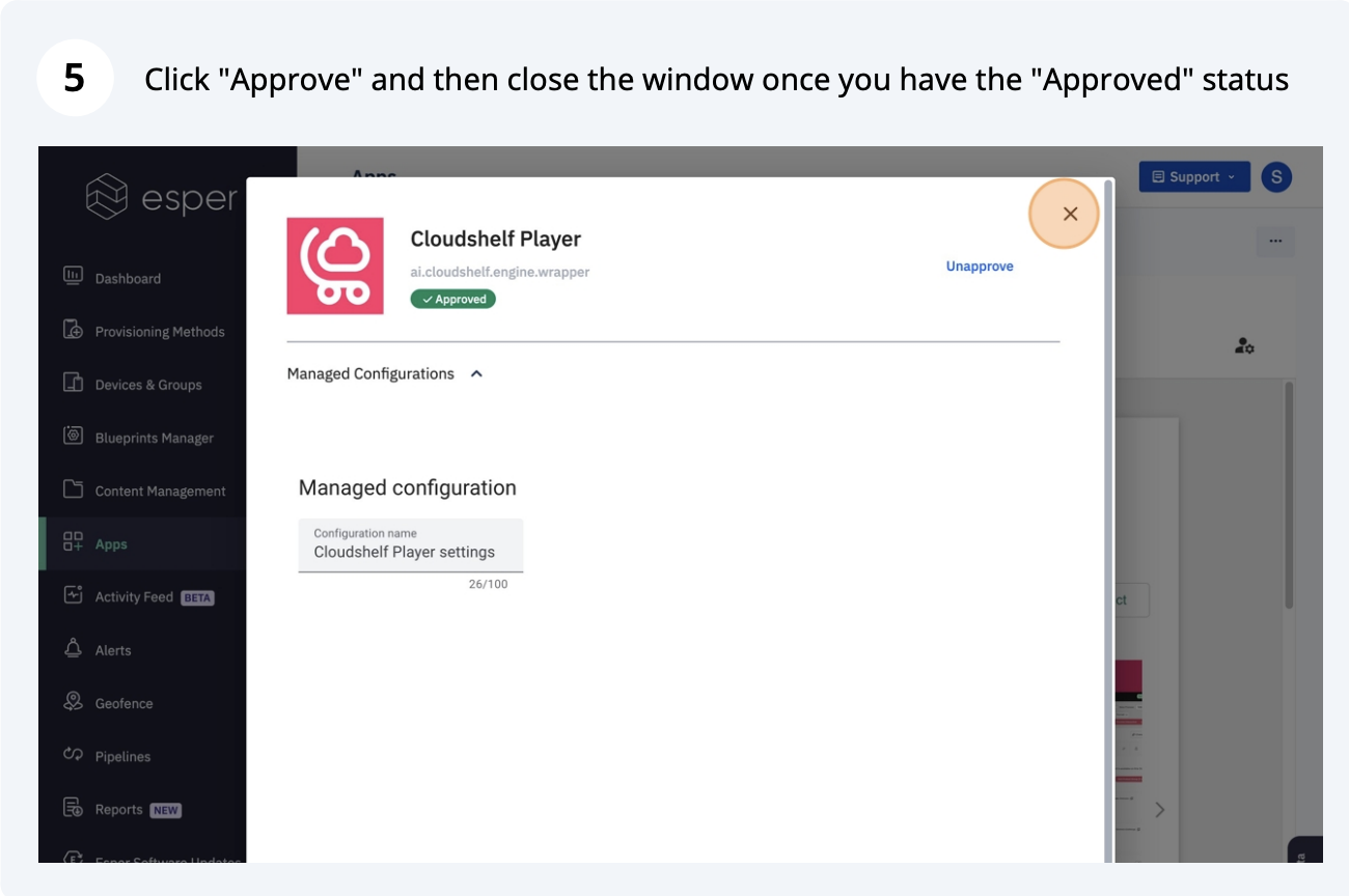 Esper setup, step 5 of 32