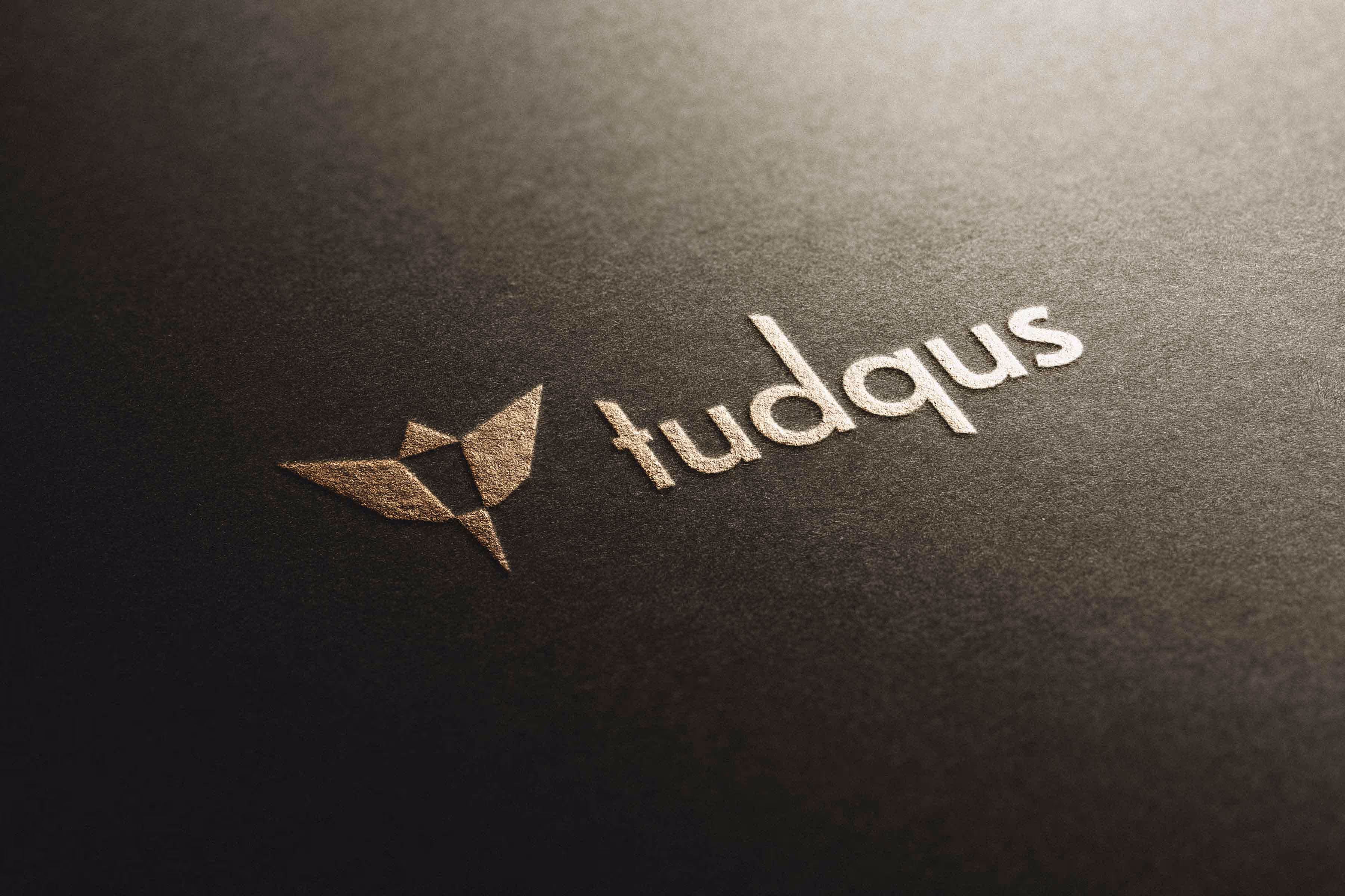 tudqus logo