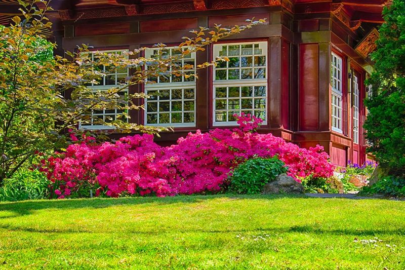 Gartenpflege Nebenkosten Als Mieter zahlen oder nicht?