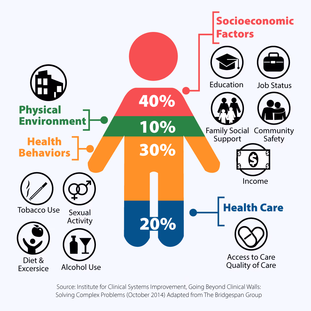Socioeconomic factors infographic