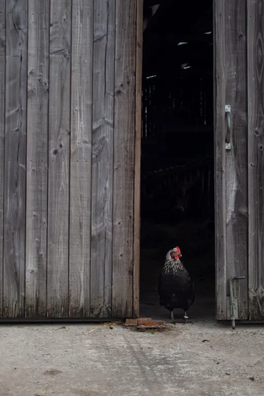 Photo de ferme