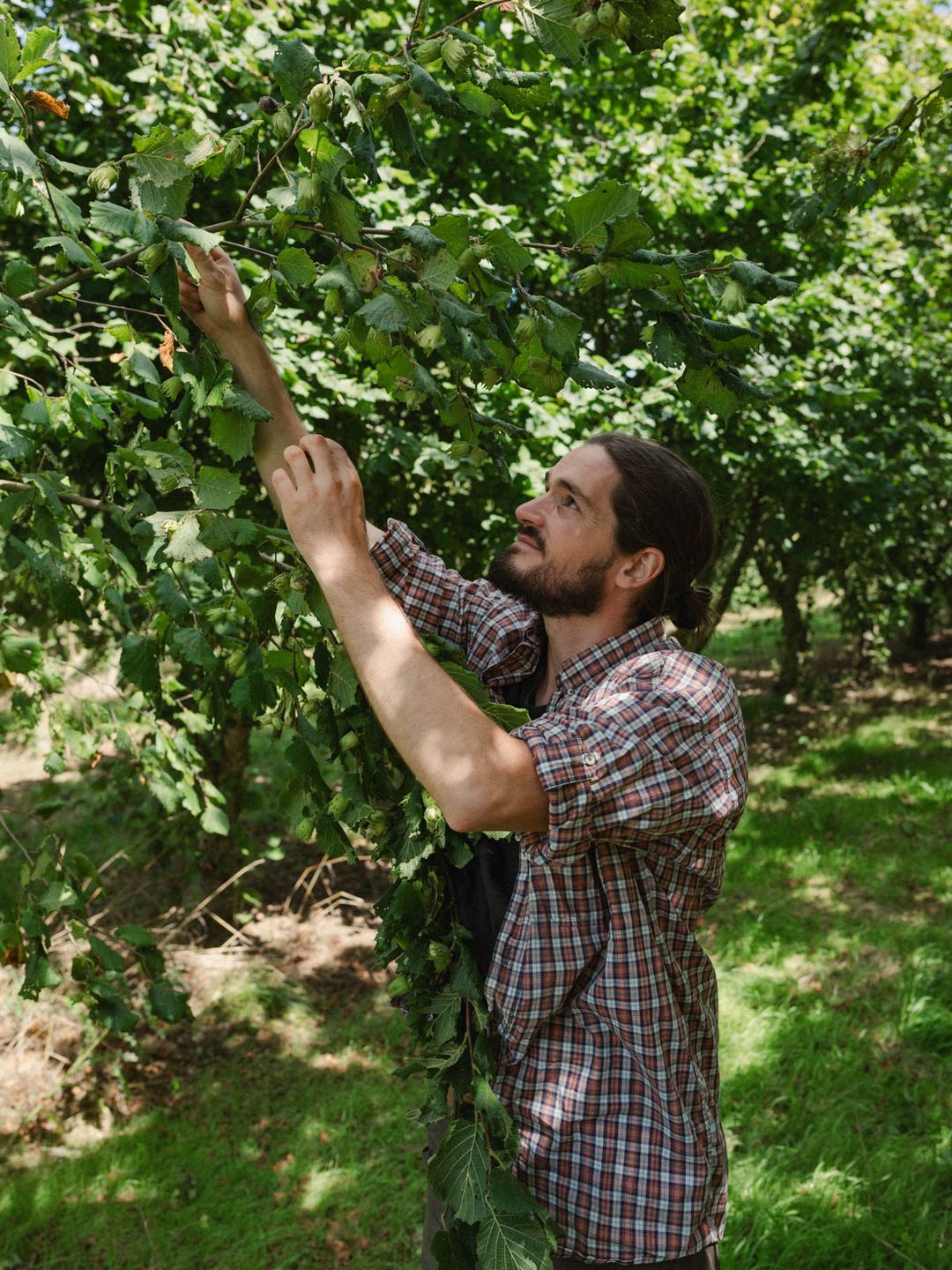 Agriculteur dans un champ