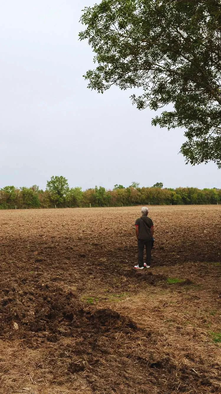Transmission d'une ferme accompagnée par FEVE