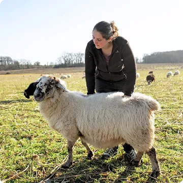 Agricultrice FEVE