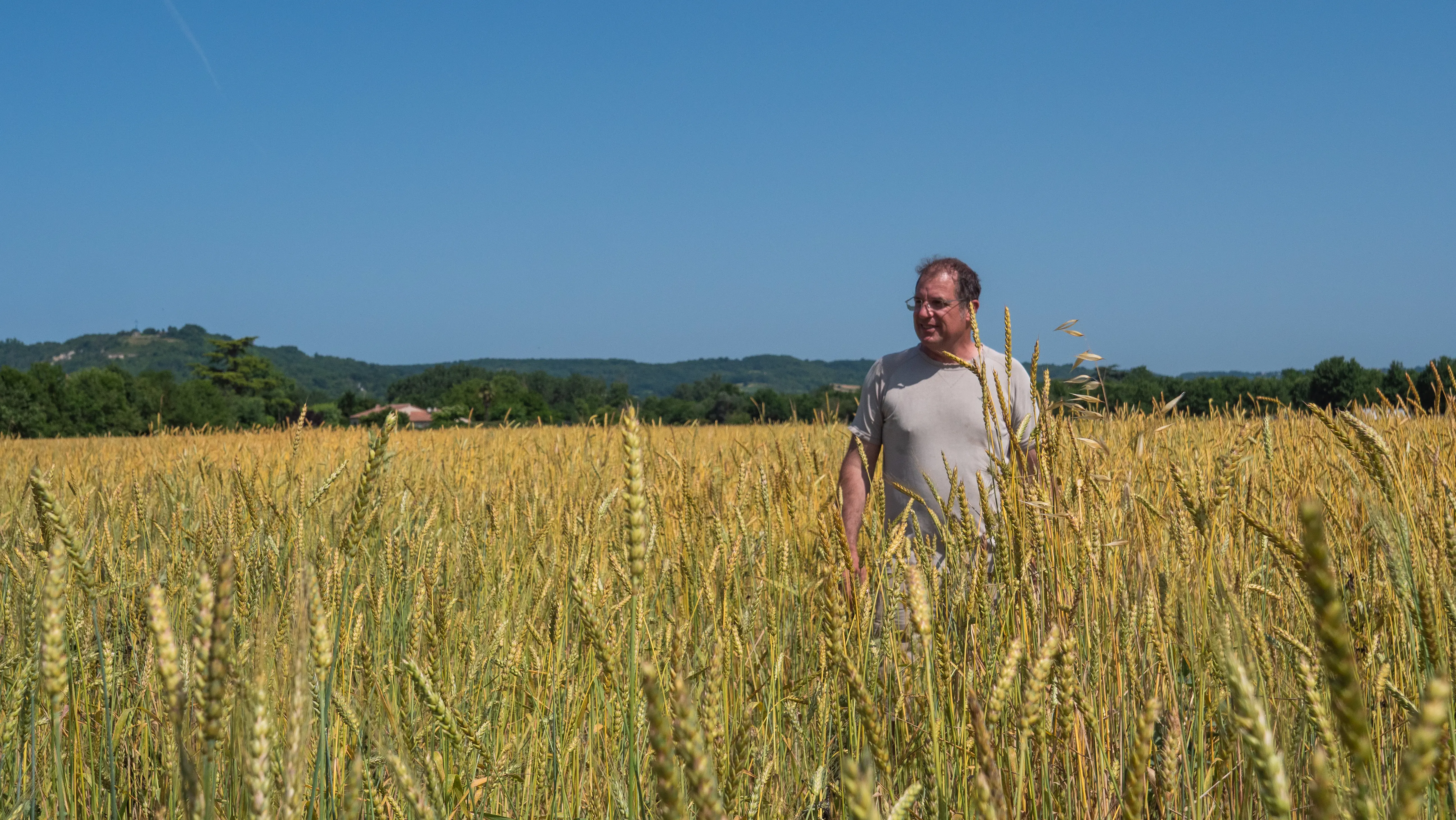 Agriculteur dans un champ de blé
