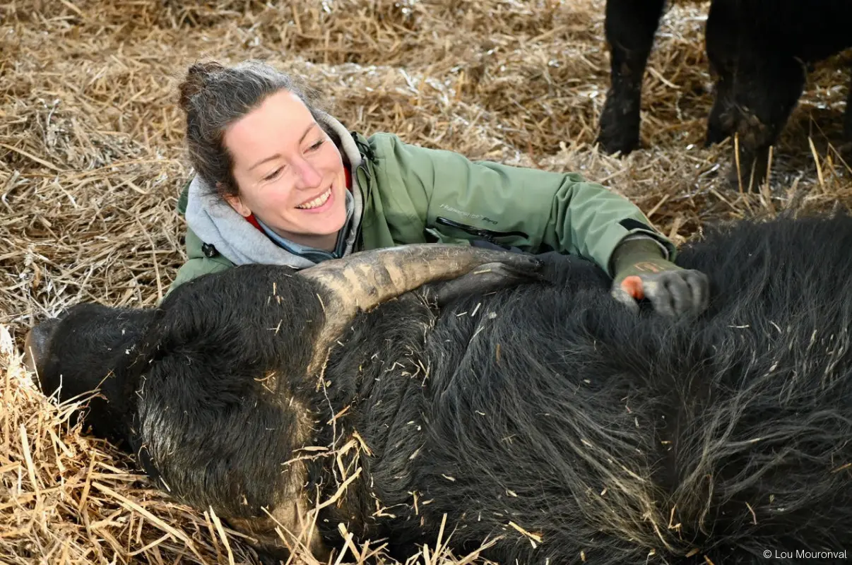 Suzanna, Ferme Ty Bufala