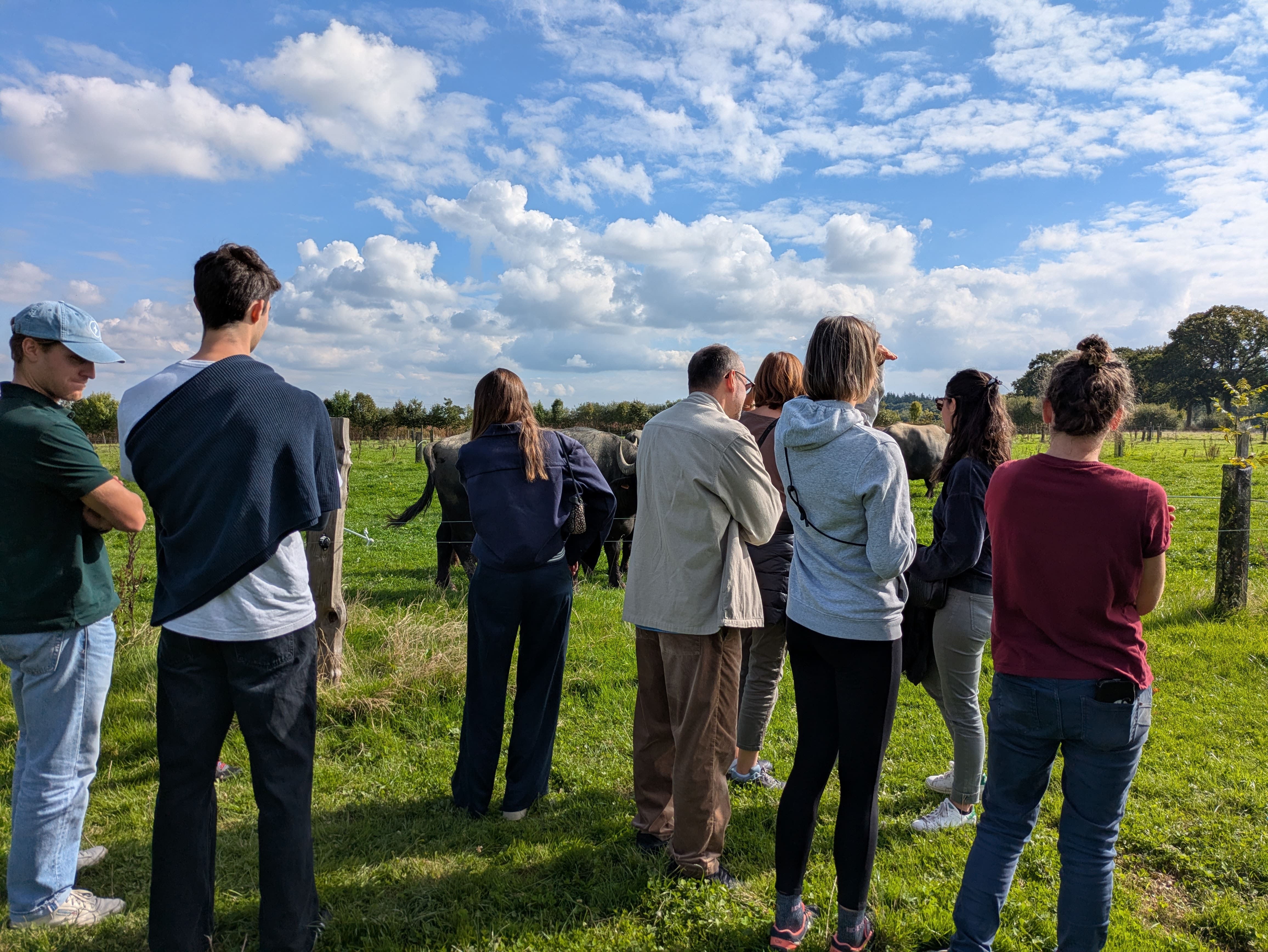 Séminaire d'entreprise organisé à la Ferme Ty Bufala