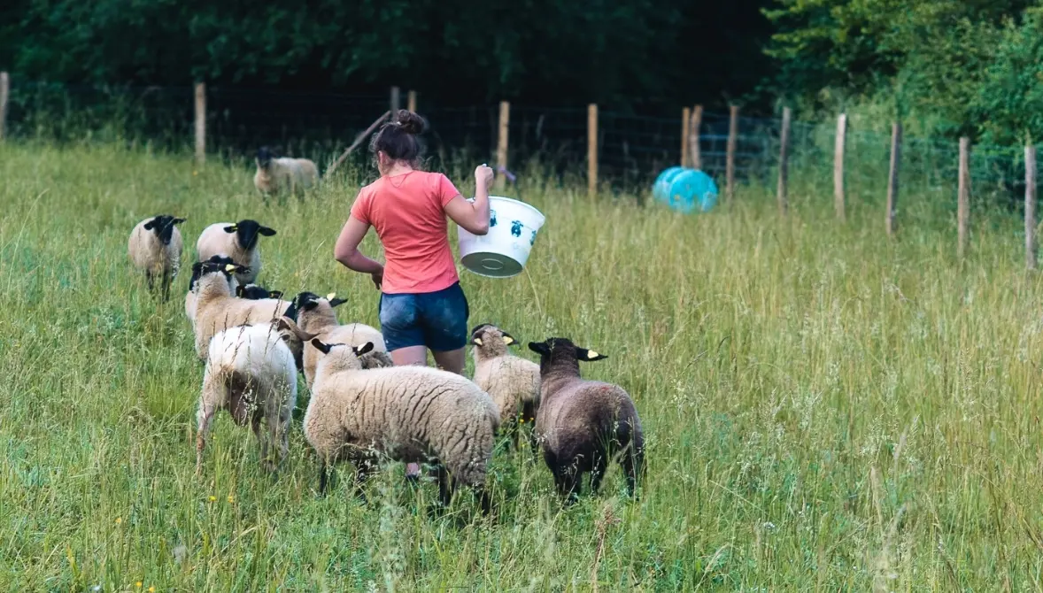 Juliette, installée sur la Ferme de Manette avec FEVE