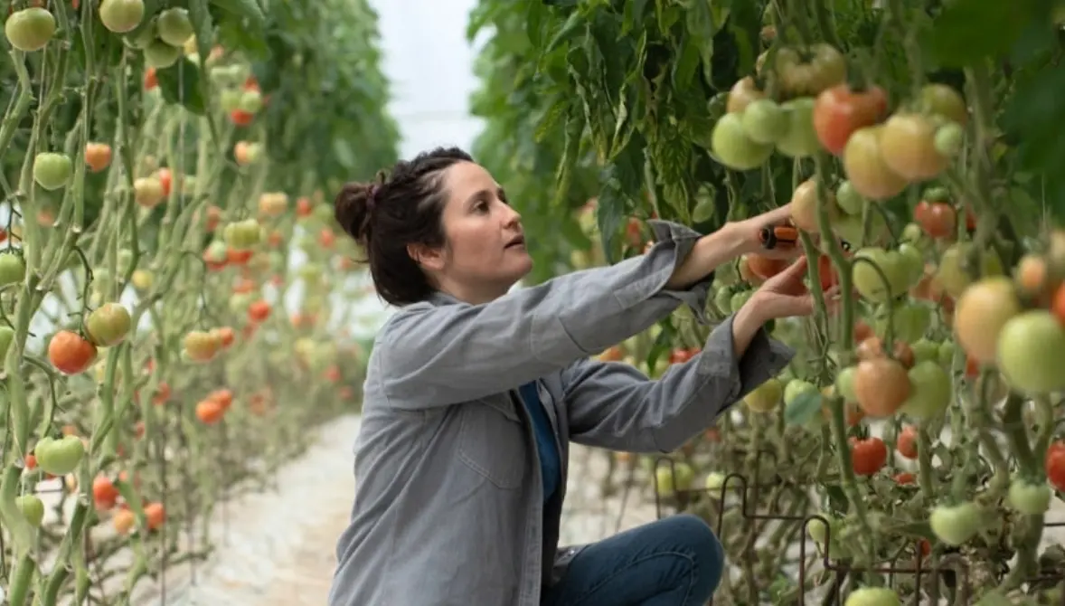 Kévin, installé sur les jardins bio du Verdier avec FEVE