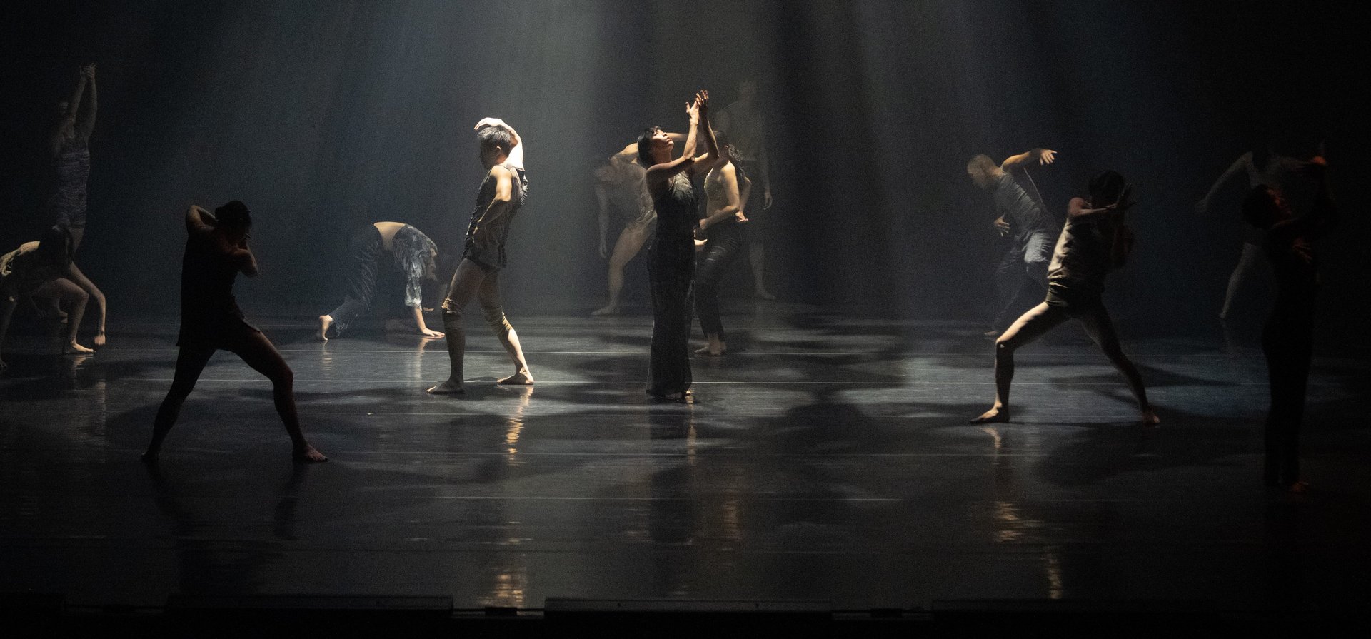 Korea National Contemporary Dance Company / Kim Sungyong – Jungle 정글 