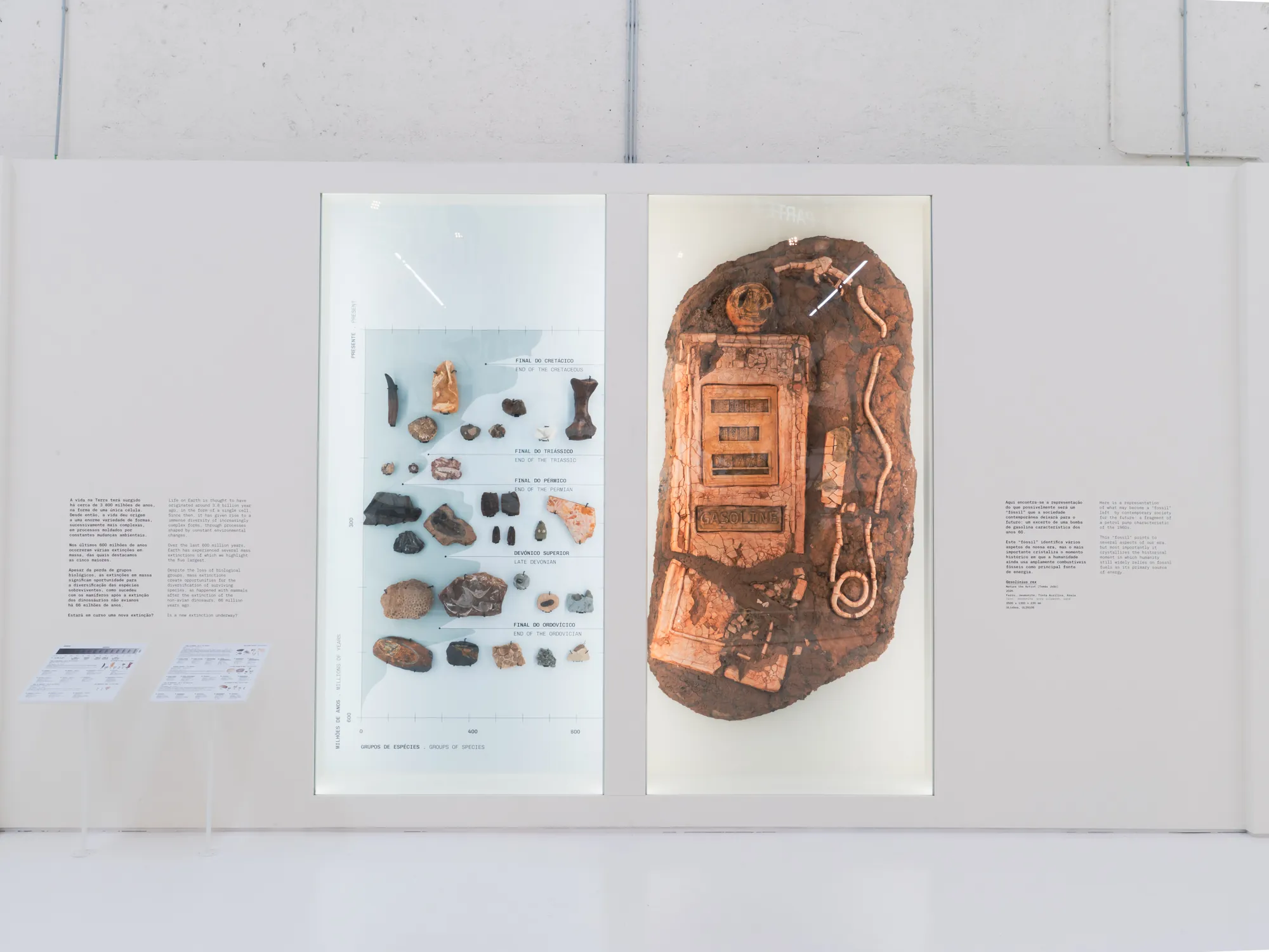 The piece next to fossils from the great mass extinctions