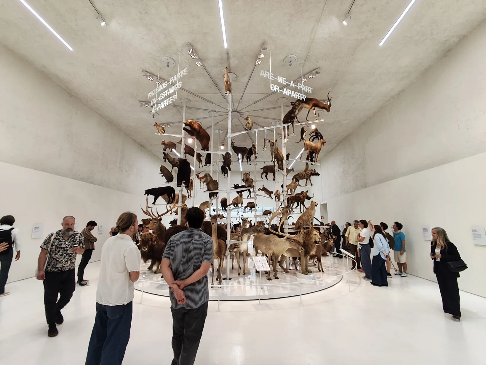 Opening of ANTROPO(CÉNICO), 29 May 2026