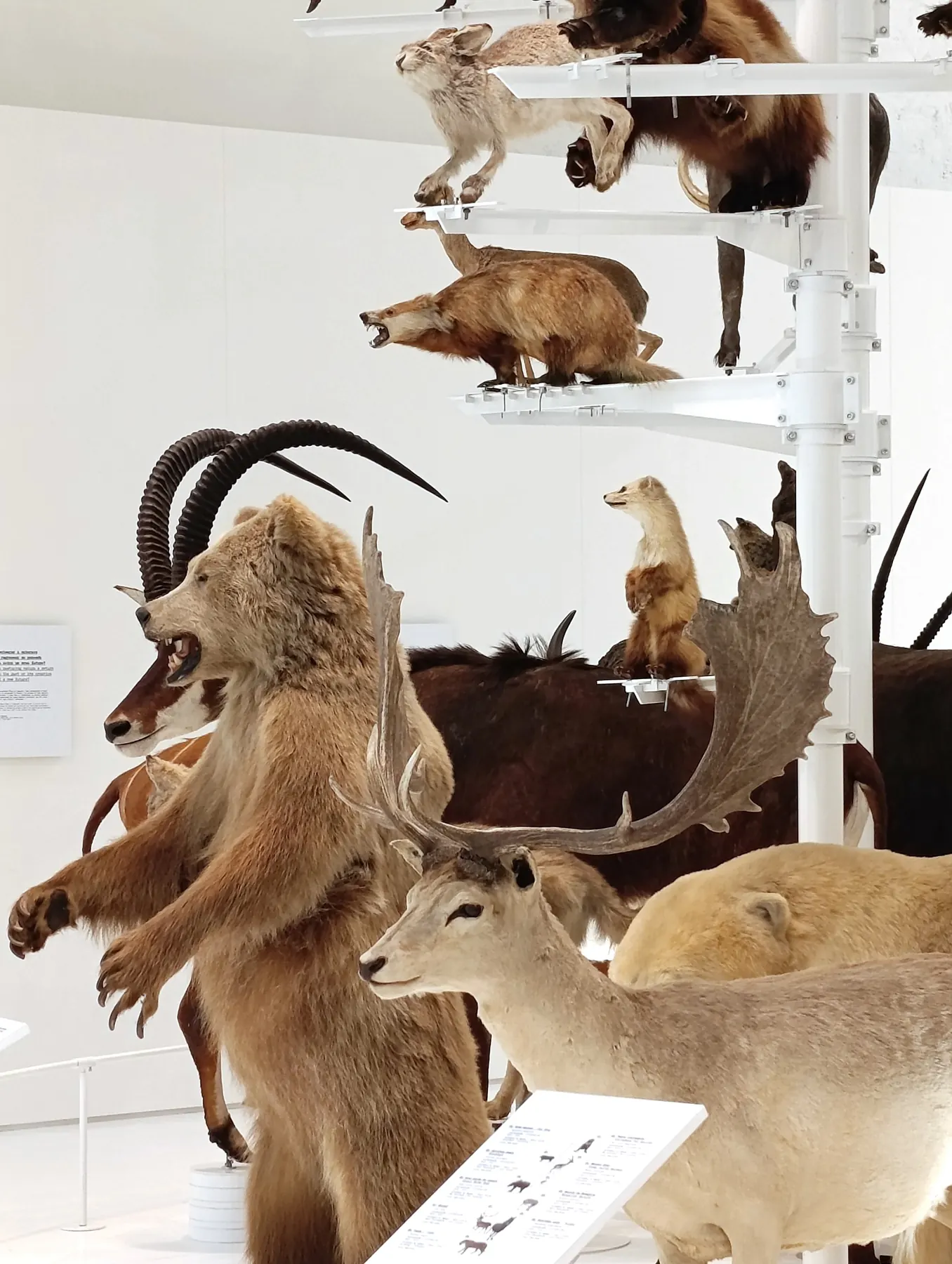 ANTROPO(CÉNICO) installation view