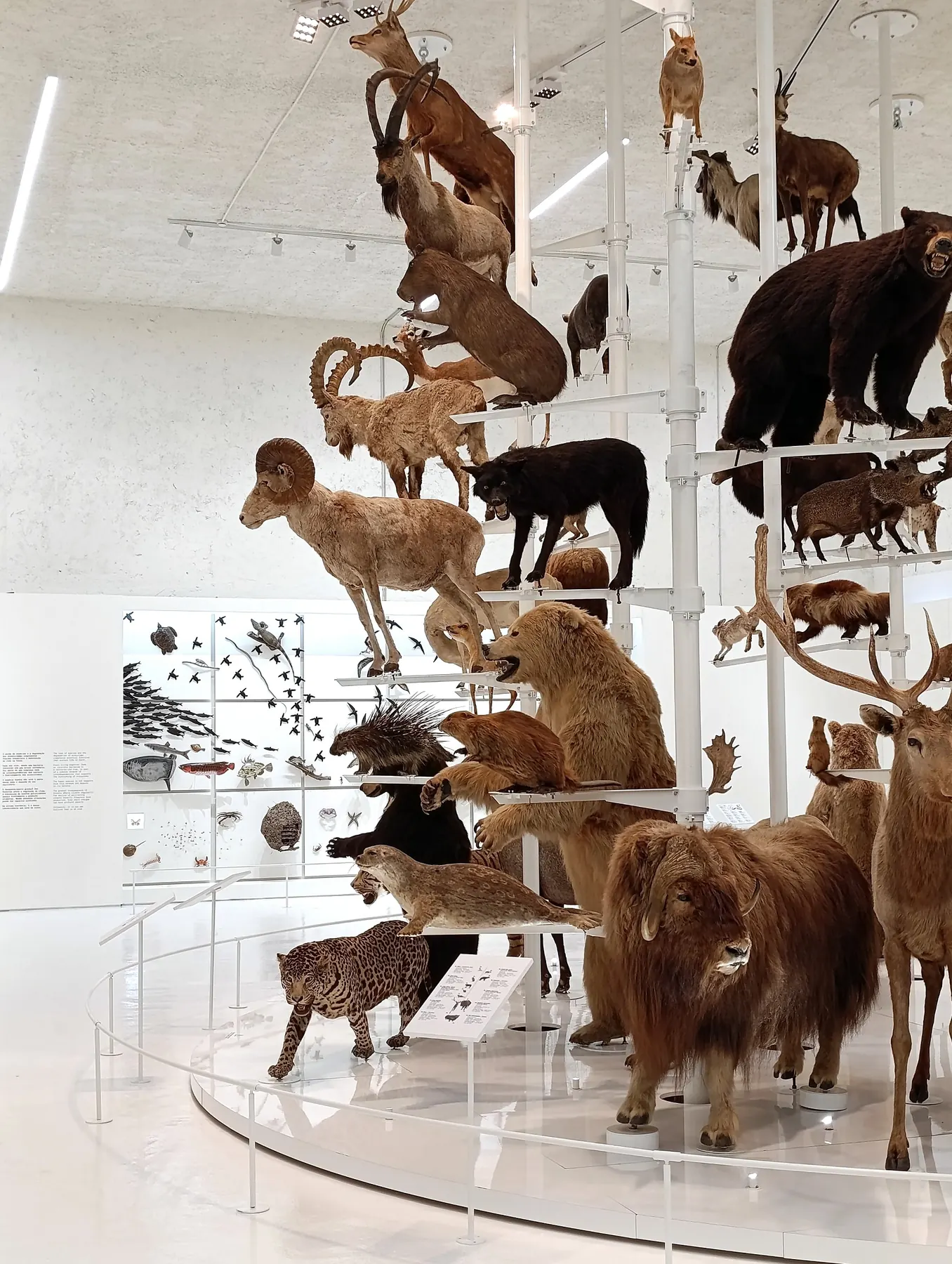 ANTROPO(CÉNICO) installation view