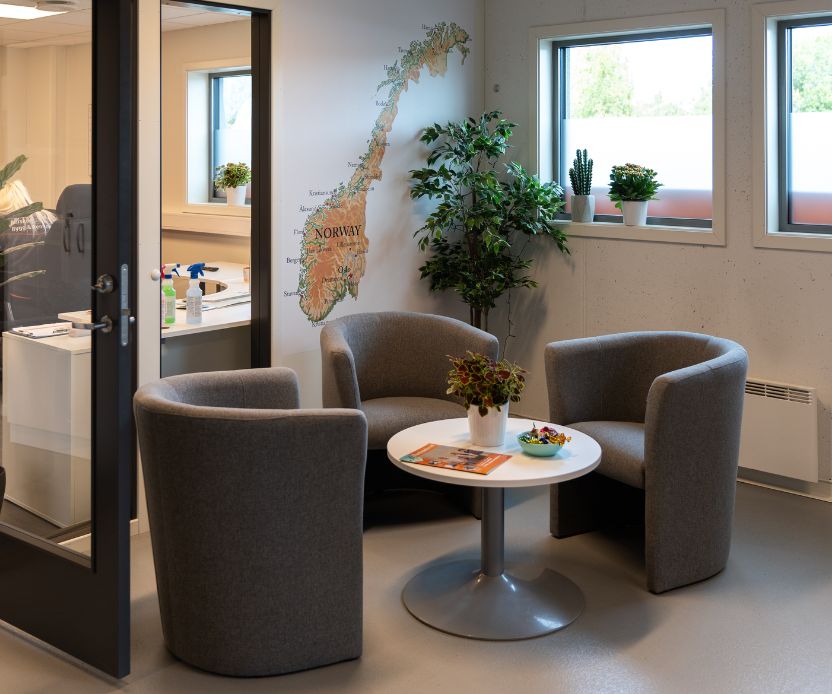 Møteområde med tre grå stoler rundt et rundt bord med planter og blader, ved vindu med dekor og planter.