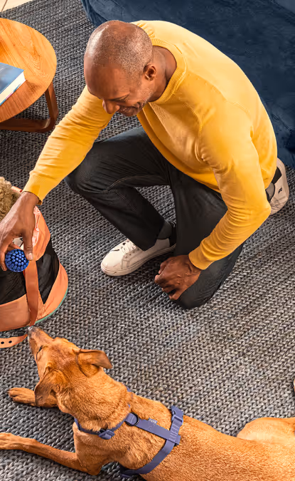 Grupo Petz apresenta nova marca e posicionamento