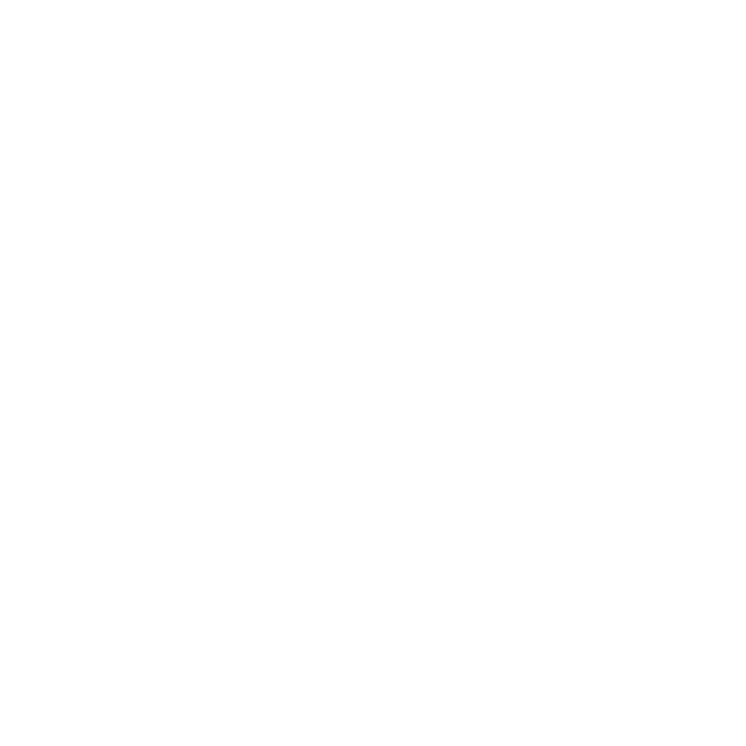 White megaphone icon
