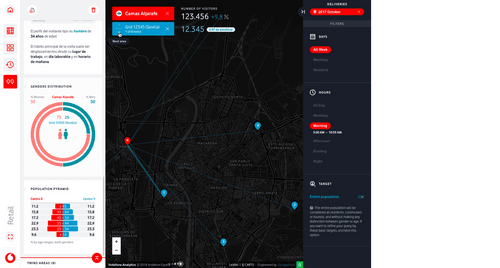 Vodafone success story