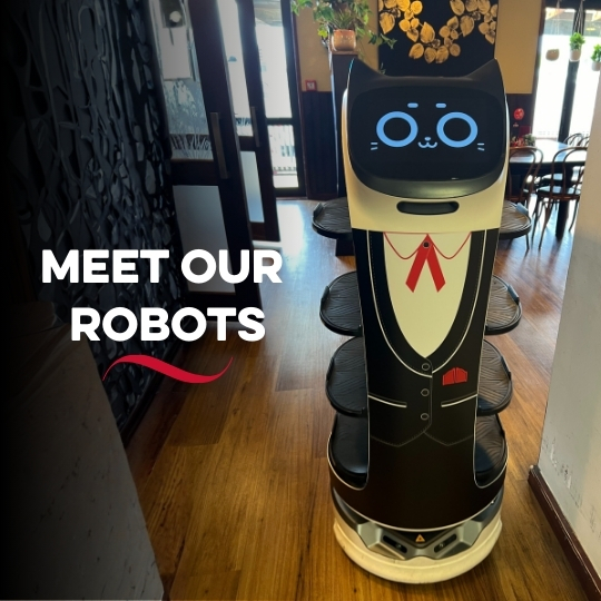Meet our Robots