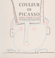 alt-show-picasso-pablo-guernica-cubisme-peinture-nvidia-art-investissement-Galerie AB.jpeg