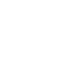 icon-website