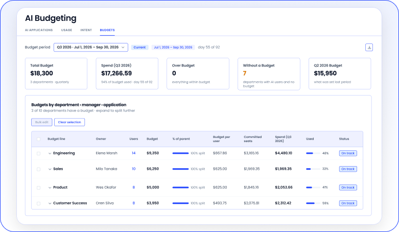 Image of AI budgeting dashboard