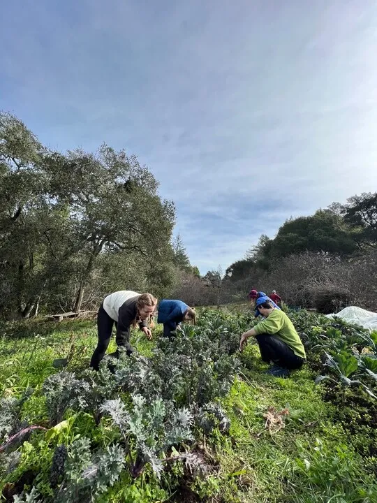 a group of employees volunteering at a farm education center
