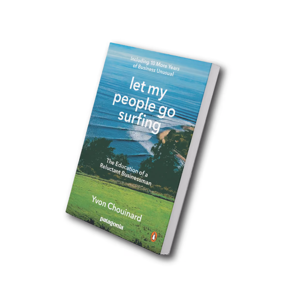a copy of the book let my people go surfing