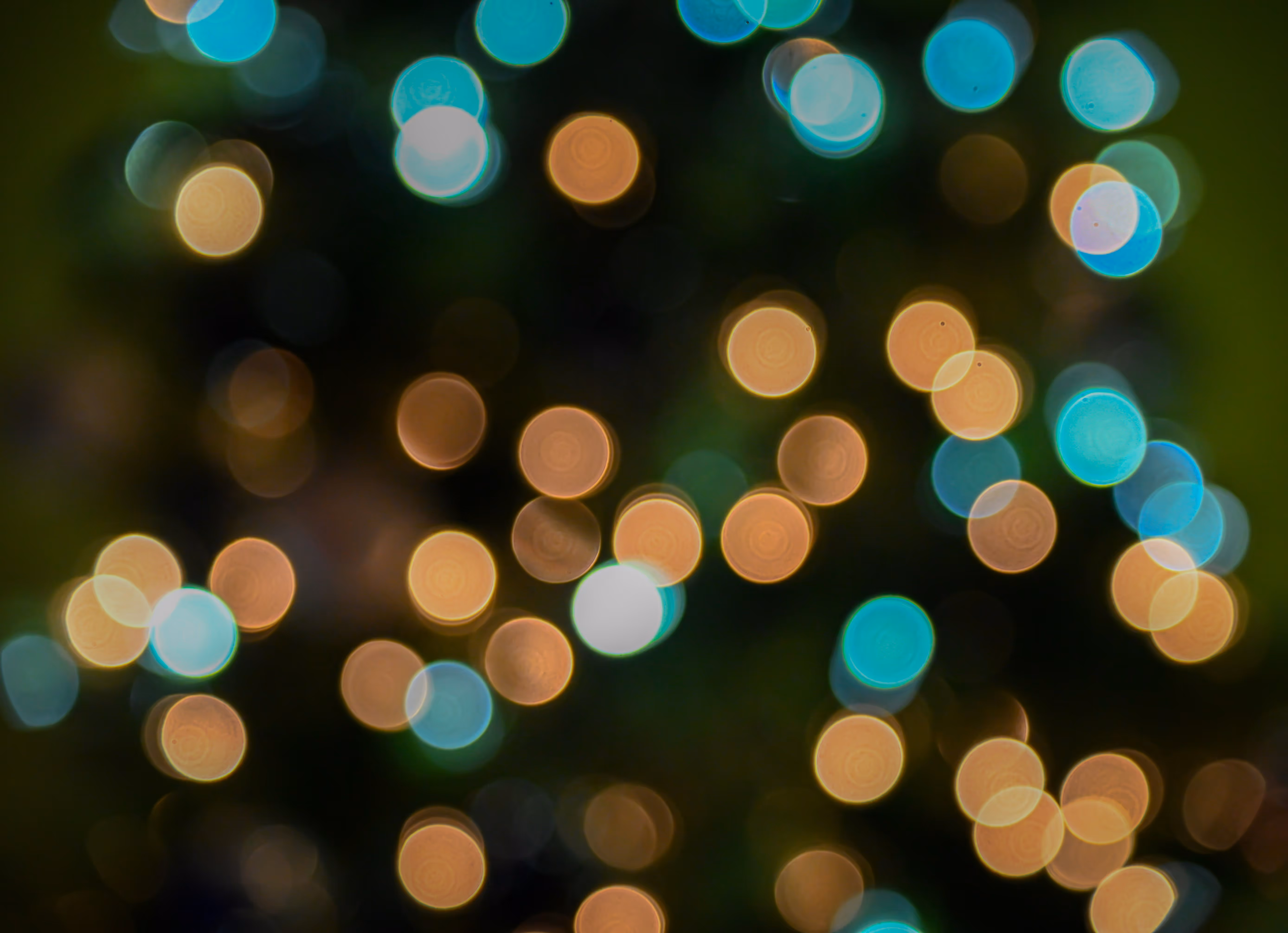 holiday lights in a blurry focus