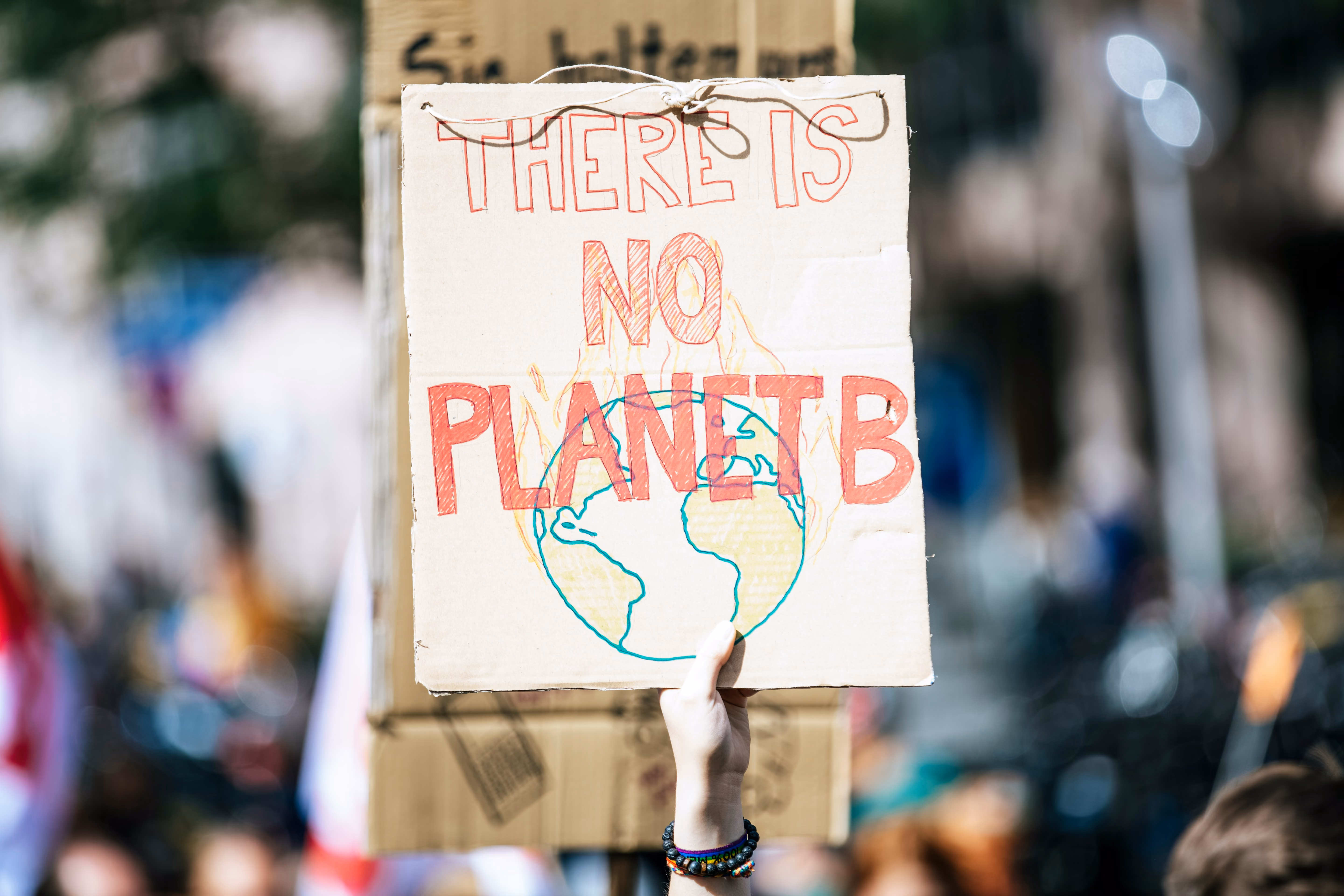a protest sign saying there is no Planet B
