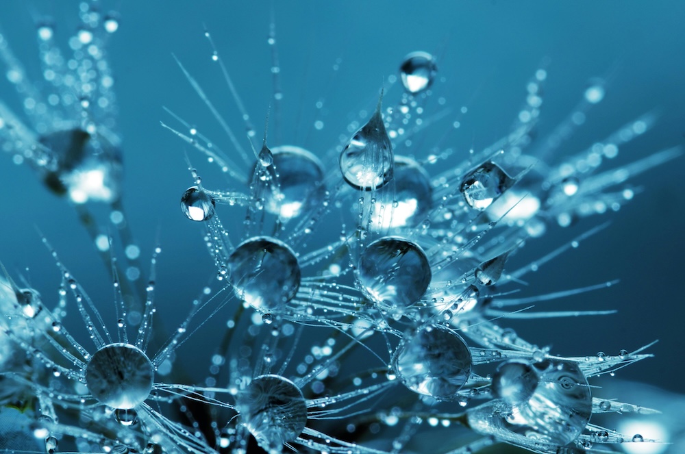 Does Medicare Cover MS Disease-Modifying Therapies?