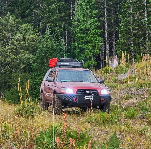Lifted Subaru Forester with 2” lift kit using OEM style upgraded struts