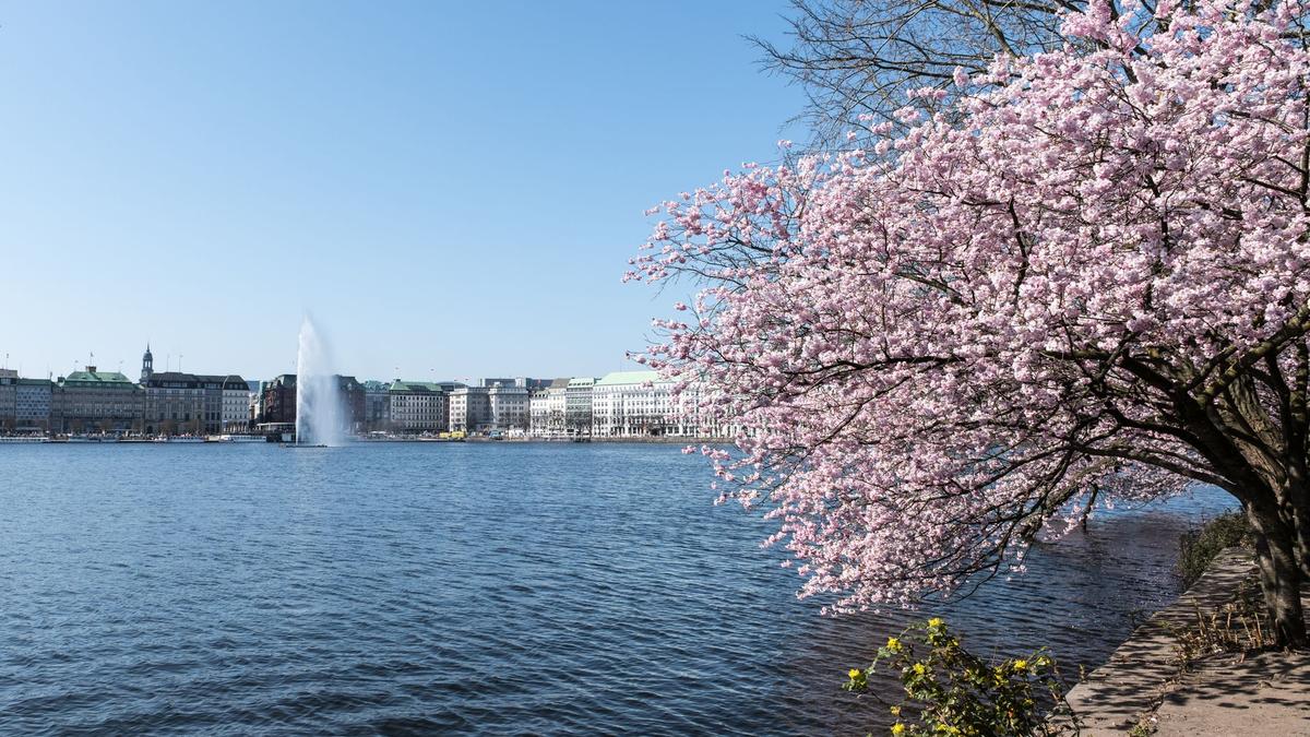 Ruhiger Blick über die Alster in Hamburg
