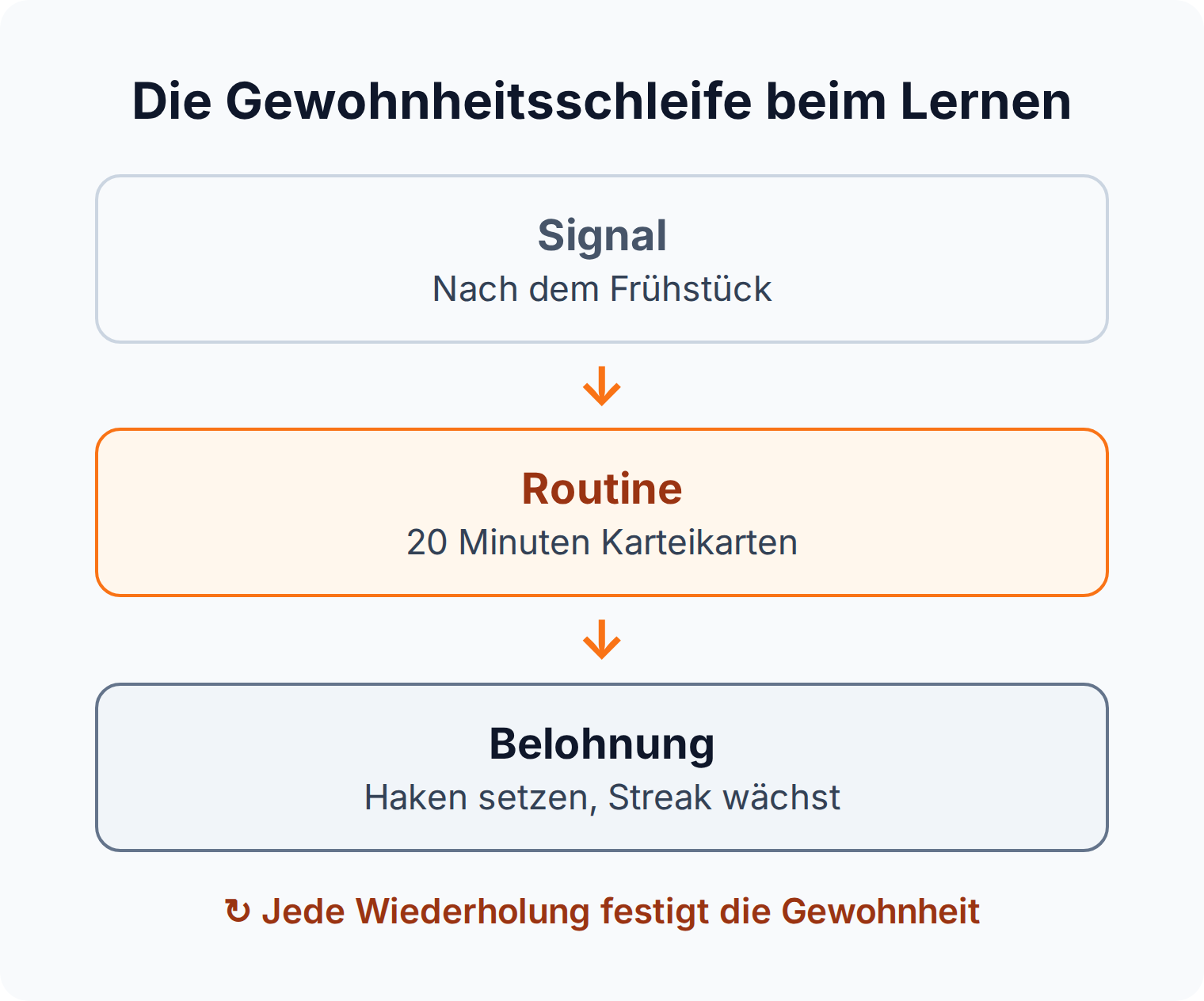 Diagramm der Gewohnheitsschleife aus Signal nach dem Frühstück, Routine mit 20 Minuten Karteikarten und Belohnung durch eine wachsende Streak.
