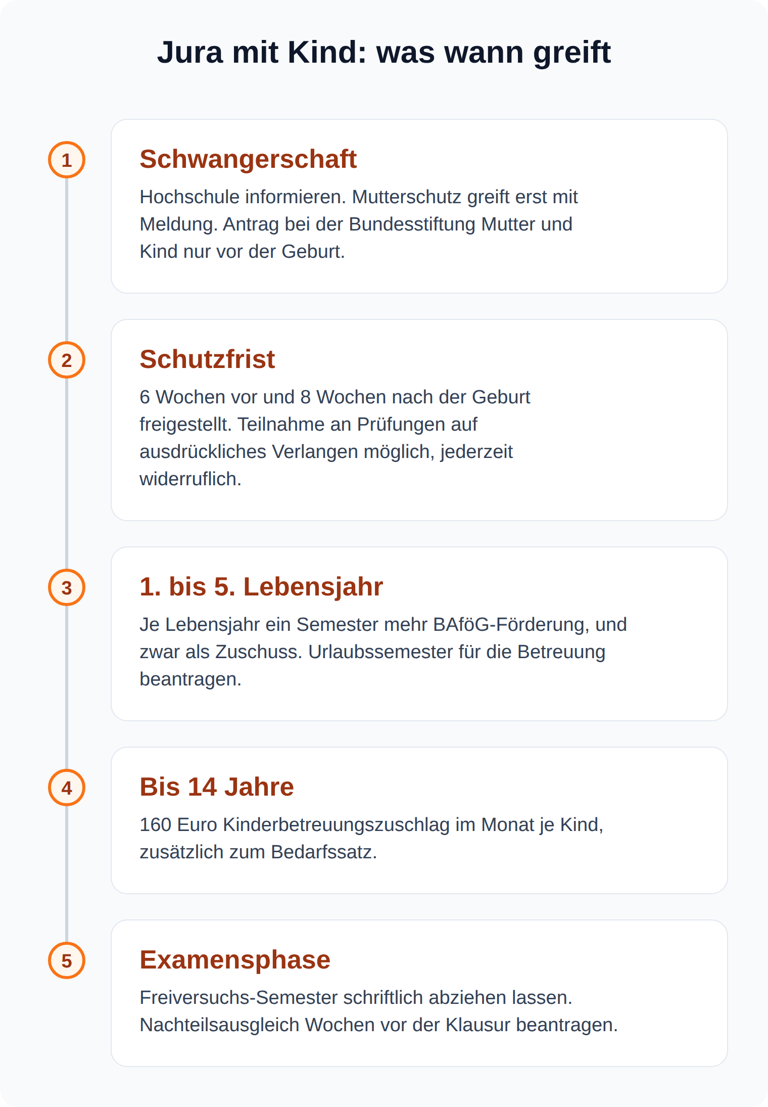 Zeitstrahl: Von der Schwangerschaft bis zur Examensphase, welche Rechte und Fristen für Studierende mit Kind wann greifen