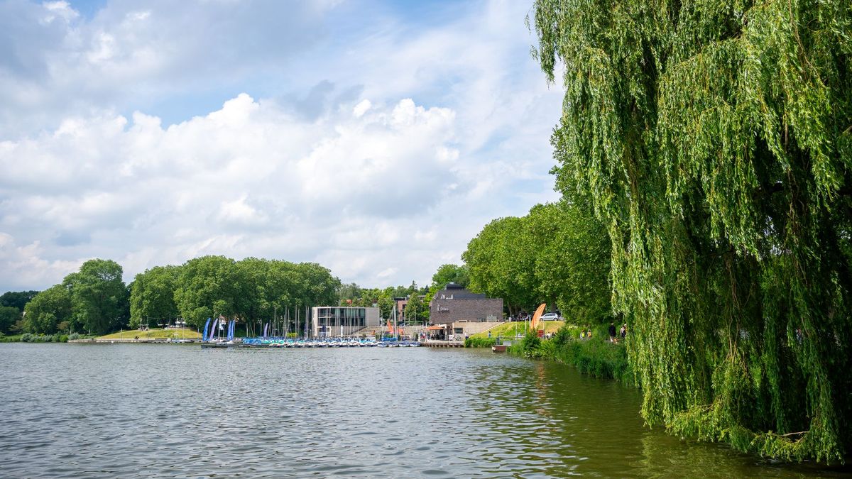 Segelboote und Trauerweide am Ufer des Aasees in Münster