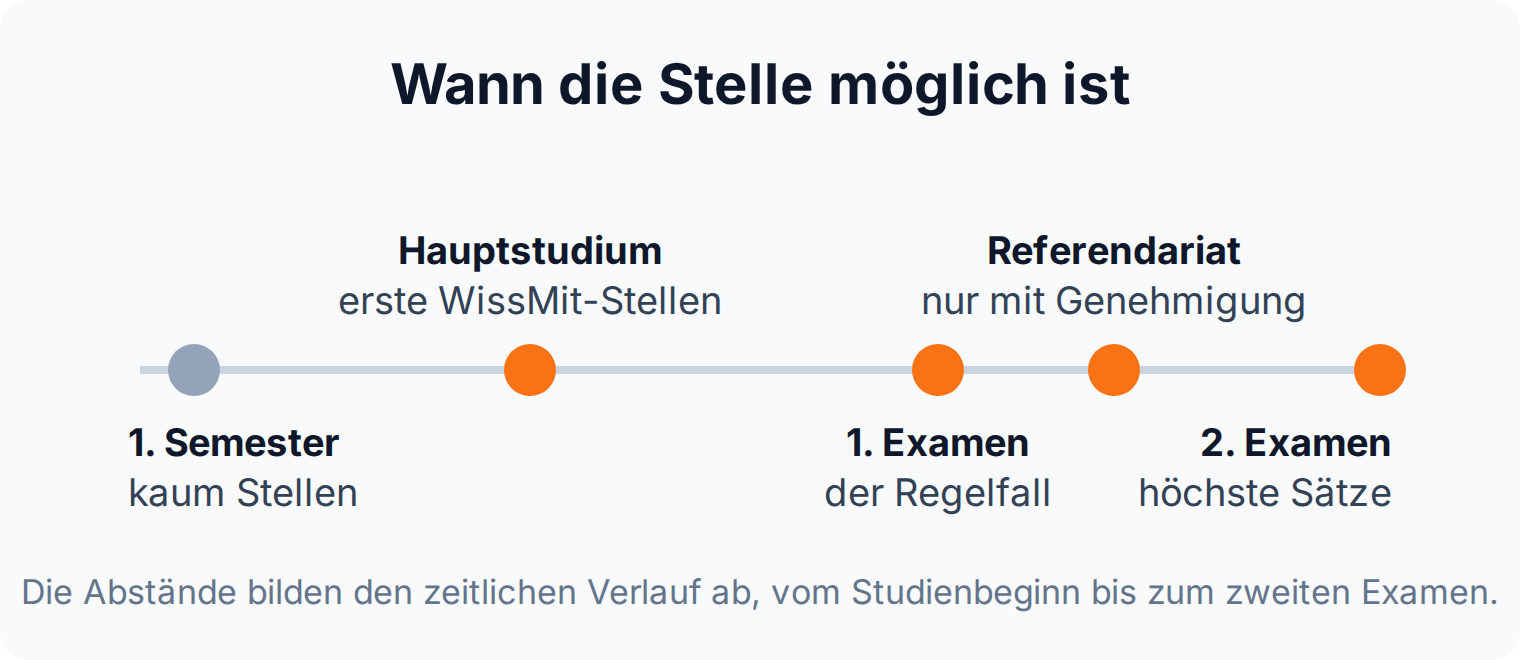Zeitstrahl: wissenschaftliche Mitarbeit ist ab dem Hauptstudium möglich, wird nach dem ersten Staatsexamen zum Regelfall und zahlt nach dem zweiten Examen am besten