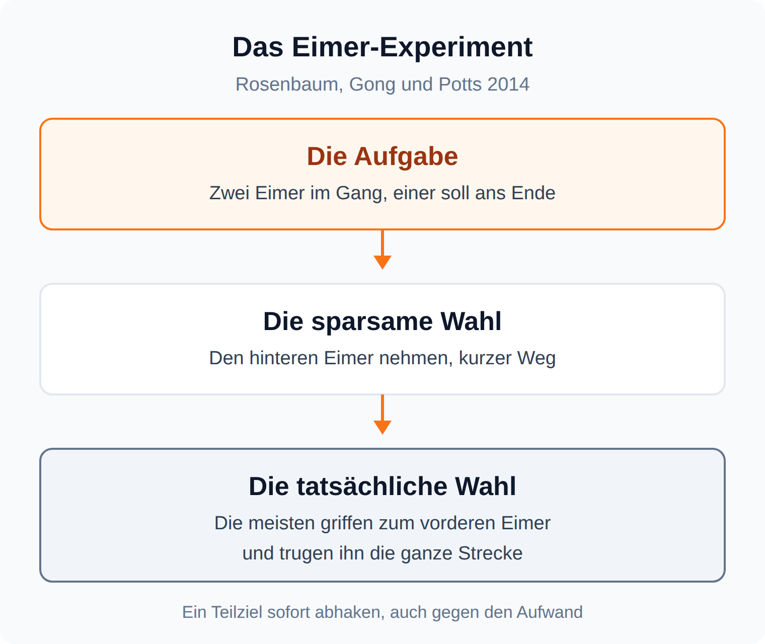 Ablaufgrafik zum Eimer-Experiment: die meisten Teilnehmenden griffen zum vorderen Eimer und trugen ihn die ganze Strecke