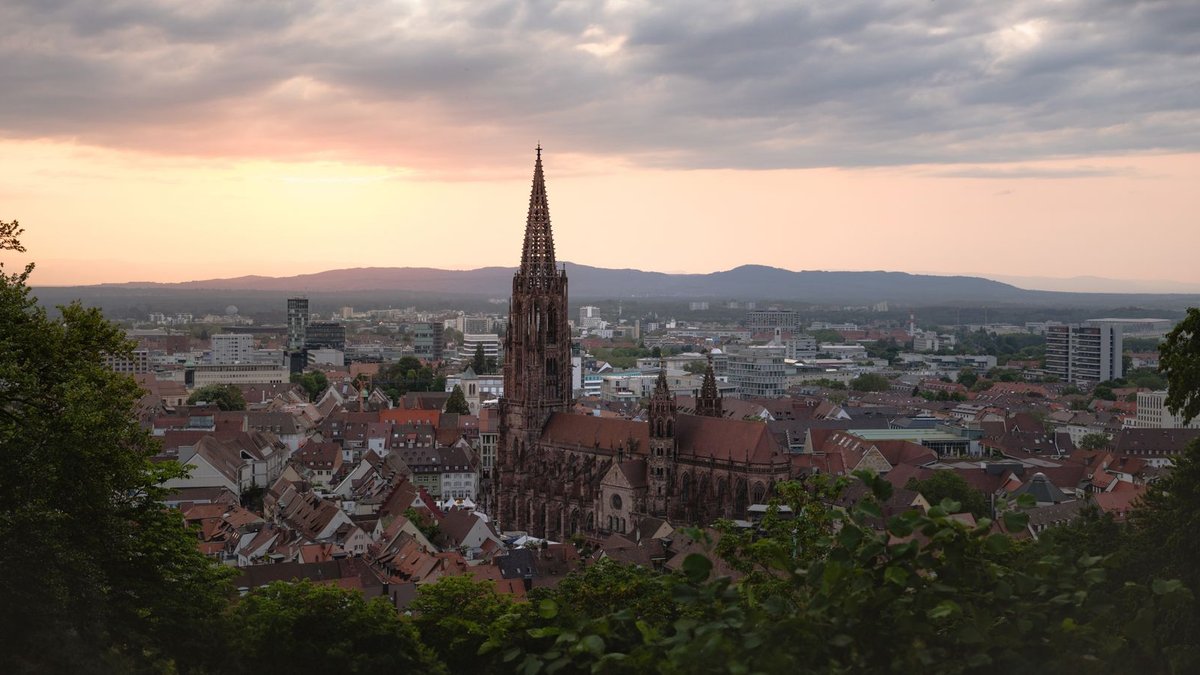 Uni Freiburg Jura: NC, Examen & Erfahrungen 2026
