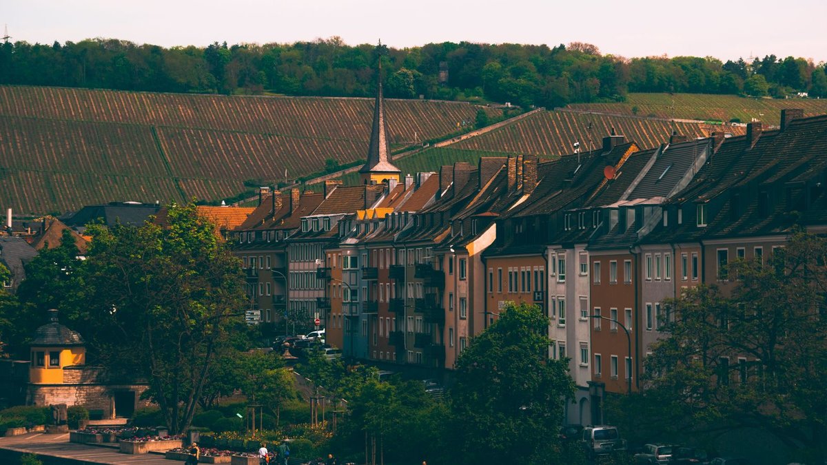 Häuserzeile am Mainufer vor den Weinbergen oberhalb von Würzburg