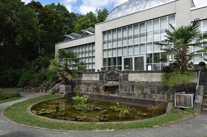Das Palmenhaus im Botanischen Garten Gießen mit Seerosenteich und Kübelpalmen davor