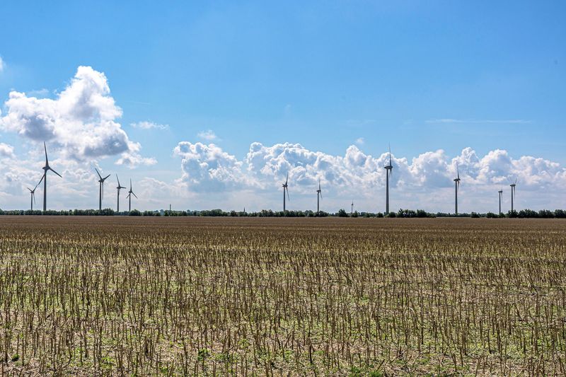 Windkraftanlagen am Horizont eines abgeernteten Feldes