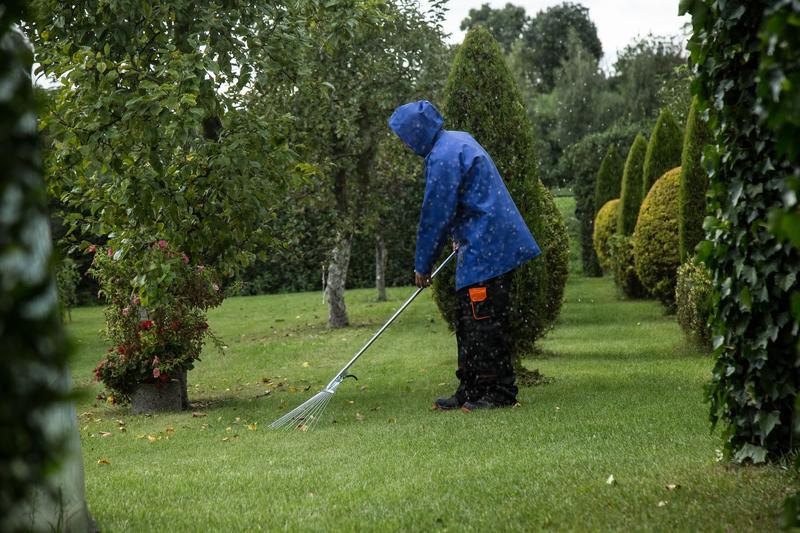 Person in blauer Regenjacke harkt Laub in einer Parkanlage