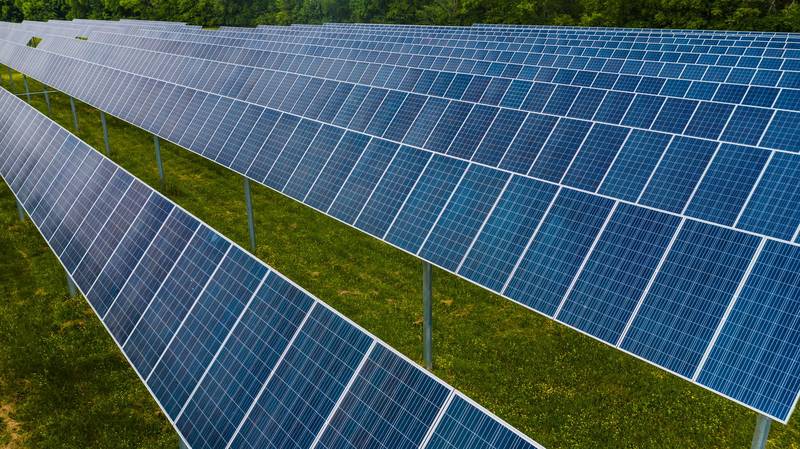 Reihen aufgeständerter Photovoltaikmodule auf einer Wiese