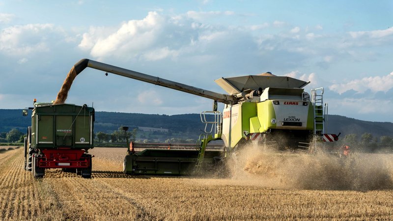 Mähdrescher entlädt Getreide über ein Rohr in einen Anhänger auf dem Feld