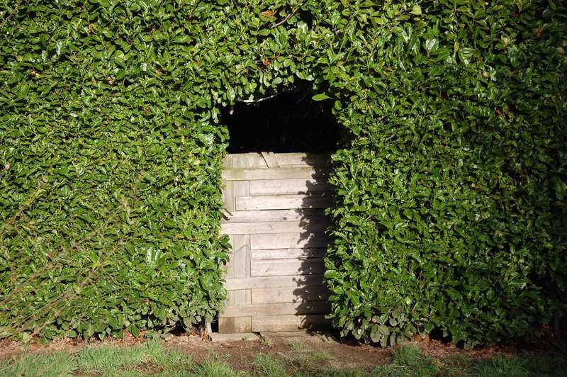 Holztor in einer dichten, geschlossenen Hecke am Eingang eines Grundstücks.